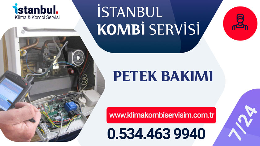 Ataşehir Petek Bakımı